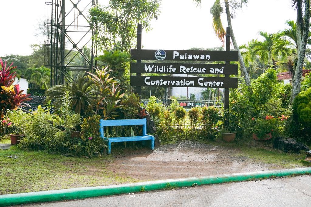 菲律賓巴拉望景點 鱷魚農場 野生動物培育中心
