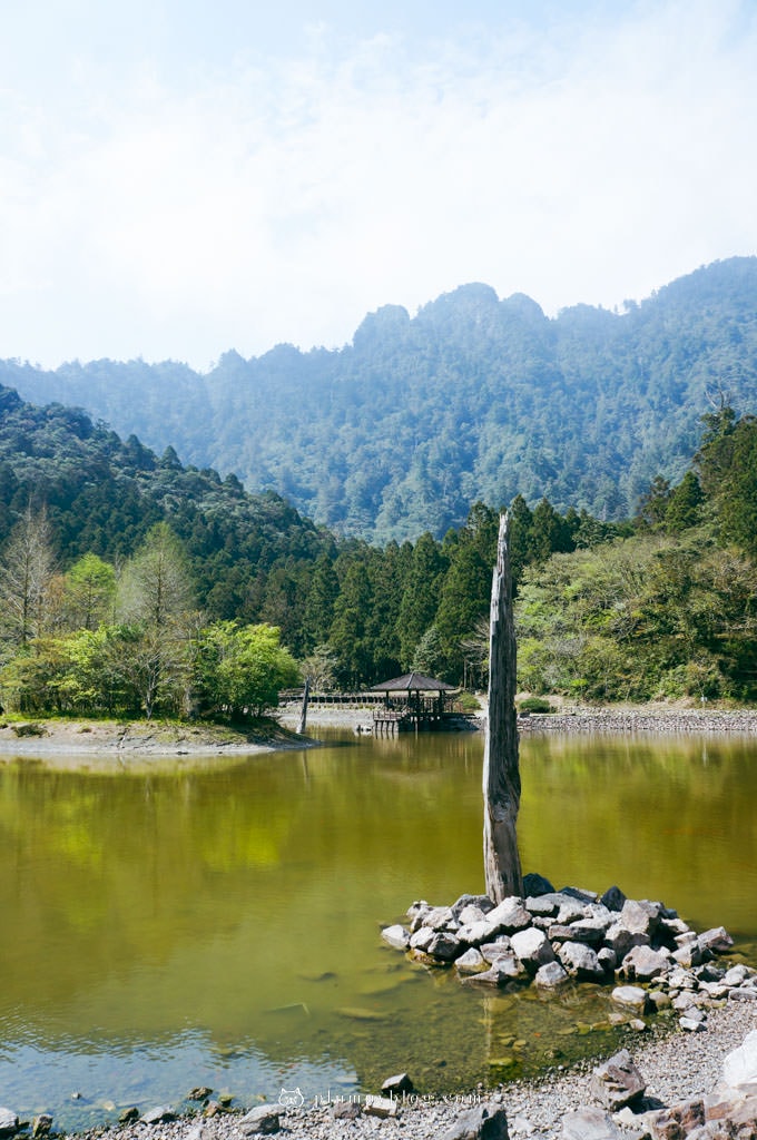 【限定優惠】力麗馬告生態園區兩天一夜|住宿交通|宜蘭景點|在山林中沐浴,找回最純粹的美好!明池森林遊樂園區、棲蘭神木園區、棲蘭山莊住宿一次看~ - 第5張圖 馬告生態園區