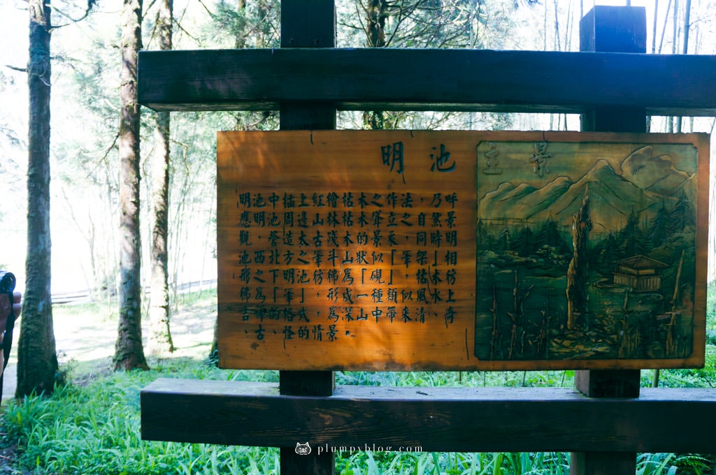 【限定優惠】力麗馬告生態園區兩天一夜|住宿交通|宜蘭景點|在山林中沐浴,找回最純粹的美好!明池森林遊樂園區、棲蘭神木園區、棲蘭山莊住宿一次看~ - 第9張圖 馬告生態園區
