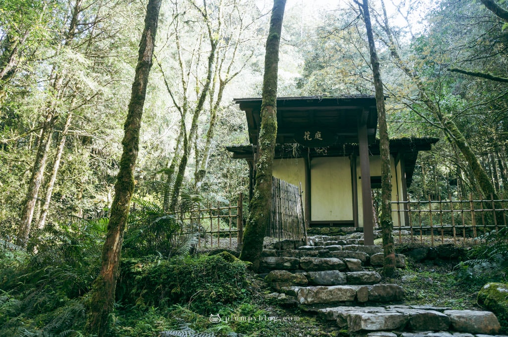【限定優惠】力麗馬告生態園區兩天一夜|住宿交通|宜蘭景點|在山林中沐浴,找回最純粹的美好!明池森林遊樂園區、棲蘭神木園區、棲蘭山莊住宿一次看~ - 第11張圖 馬告生態園區