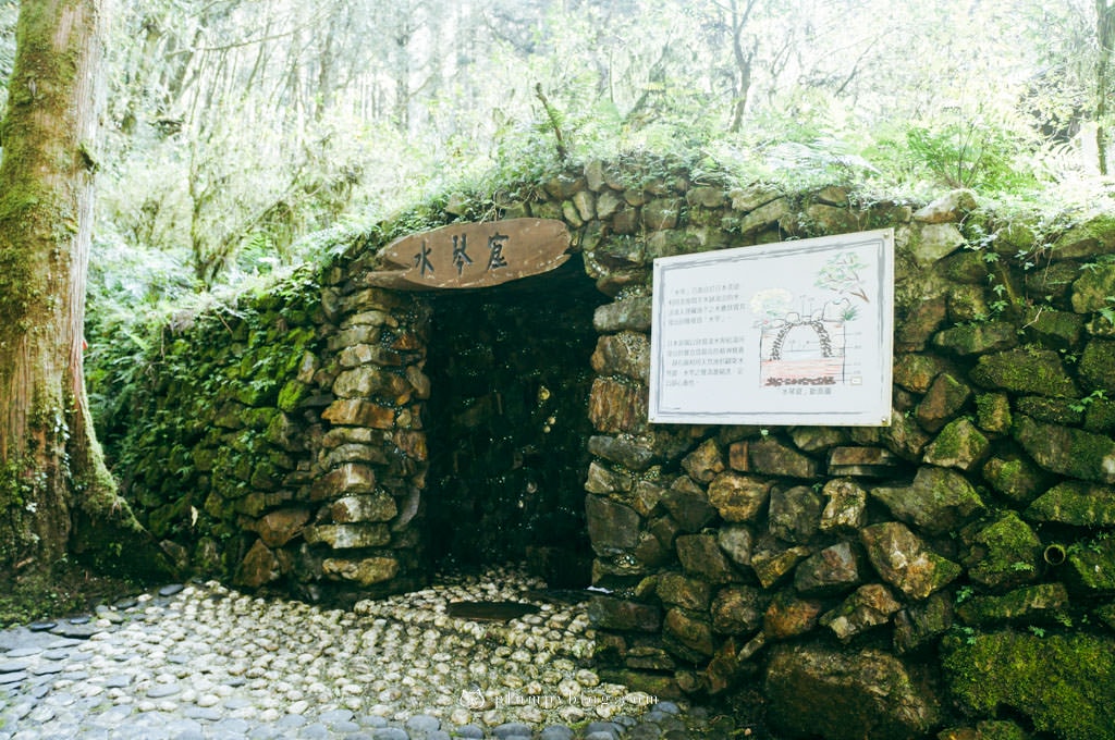 【限定優惠】力麗馬告生態園區兩天一夜|住宿交通|宜蘭景點|在山林中沐浴,找回最純粹的美好!明池森林遊樂園區、棲蘭神木園區、棲蘭山莊住宿一次看~ - 第15張圖 馬告生態園區