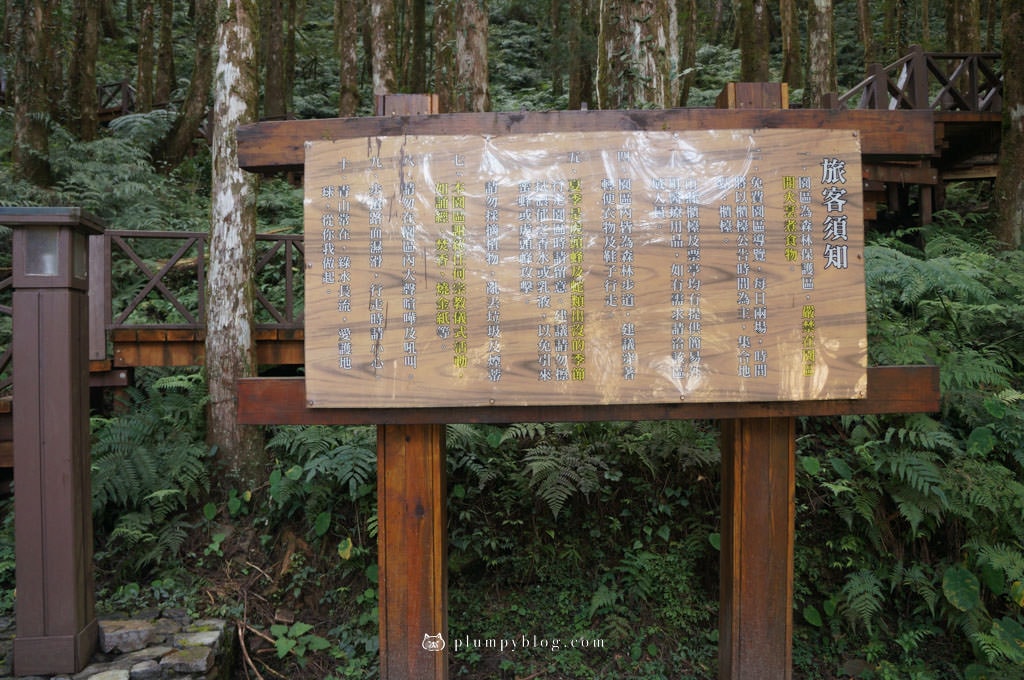 【限定優惠】力麗馬告生態園區兩天一夜|住宿交通|宜蘭景點|在山林中沐浴,找回最純粹的美好!明池森林遊樂園區、棲蘭神木園區、棲蘭山莊住宿一次看~ - 第22張圖 馬告生態園區