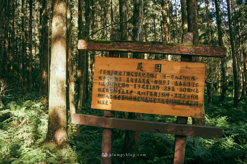 【限定優惠】力麗馬告生態園區兩天一夜|住宿交通|宜蘭景點|在山林中沐浴,找回最純粹的美好!明池森林遊樂園區、棲蘭神木園區、棲蘭山莊住宿一次看~ - 第24張圖 馬告生態園區