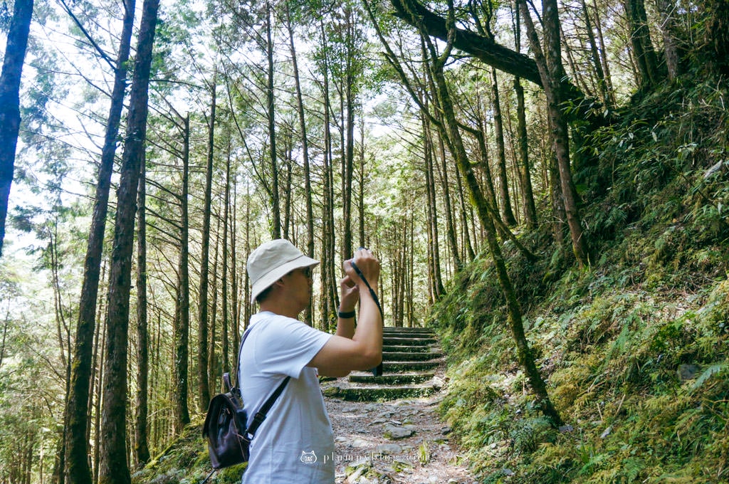 【限定優惠】力麗馬告生態園區兩天一夜|住宿交通|宜蘭景點|在山林中沐浴,找回最純粹的美好!明池森林遊樂園區、棲蘭神木園區、棲蘭山莊住宿一次看~ - 第85張圖 棲蘭神木園