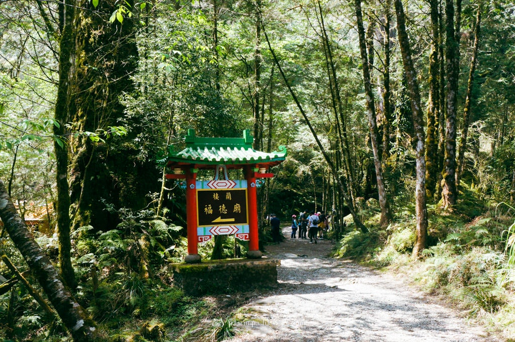【限定優惠】力麗馬告生態園區兩天一夜|住宿交通|宜蘭景點|在山林中沐浴,找回最純粹的美好!明池森林遊樂園區、棲蘭神木園區、棲蘭山莊住宿一次看~ - 第93張圖 棲蘭神木園