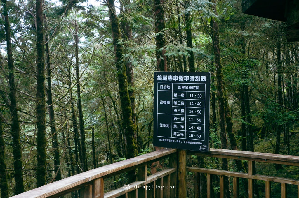 【限定優惠】力麗馬告生態園區兩天一夜|住宿交通|宜蘭景點|在山林中沐浴,找回最純粹的美好!明池森林遊樂園區、棲蘭神木園區、棲蘭山莊住宿一次看~ - 第105張圖 棲蘭神木園