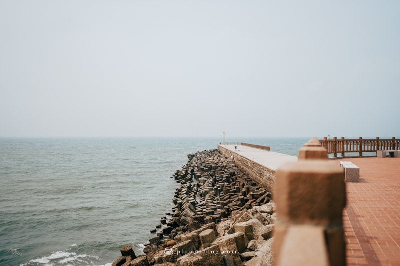 【苗栗美食】後龍外埔漁港,太興活海鮮餐廳,活海鮮美味上桌。吃飽去海邊散步。 - 第16張圖