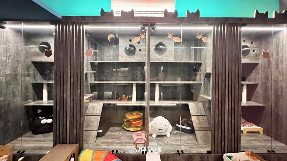 兔兔旅館推薦【MaAh喵品行旅】:兔寶爸媽看過來!最細心的兔兔旅館完整體驗五星級體驗全紀錄! - 第4張圖