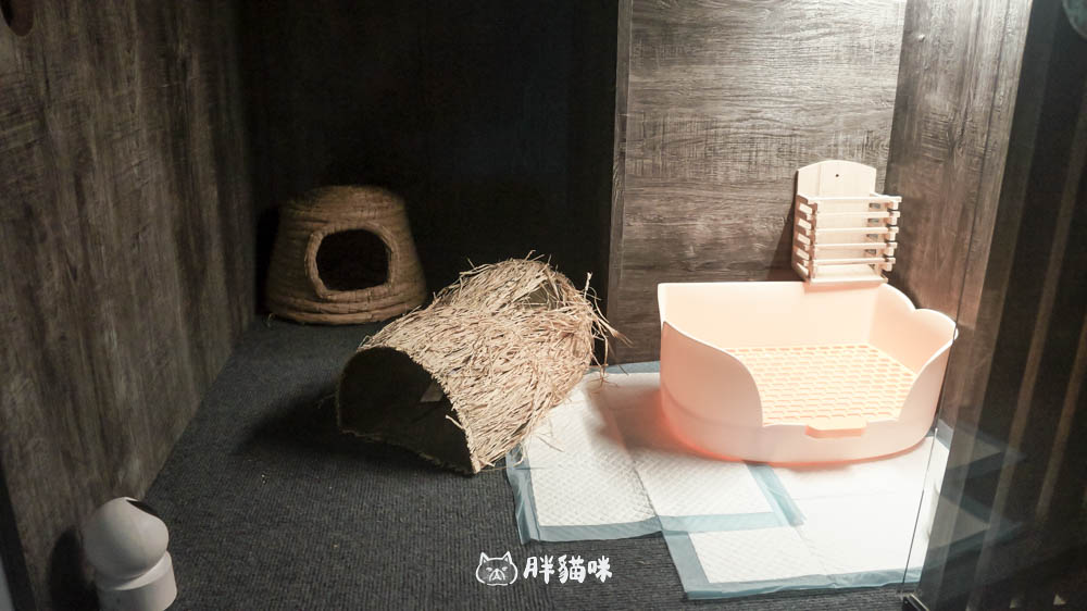 兔兔旅館推薦【MaAh喵品行旅】:兔寶爸媽看過來!最細心的兔兔旅館完整體驗五星級體驗全紀錄! - 第7張圖