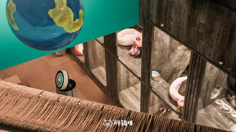 兔兔旅館推薦【MaAh喵品行旅】:兔寶爸媽看過來!最細心的兔兔旅館完整體驗五星級體驗全紀錄! - 第38張圖