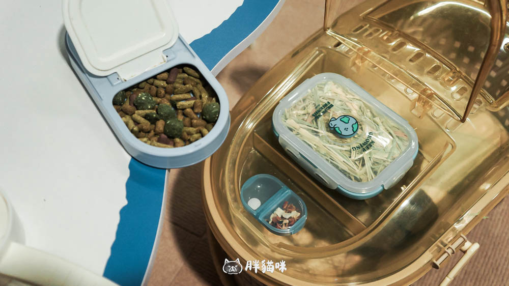 兔兔旅館推薦【MaAh喵品行旅】:兔寶爸媽看過來!最細心的兔兔旅館完整體驗五星級體驗全紀錄! - 第13張圖