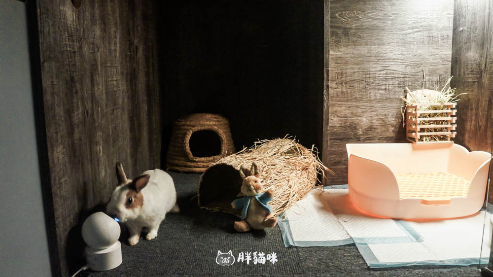 兔兔旅館推薦【MaAh喵品行旅】:兔寶爸媽看過來!最細心的兔兔旅館完整體驗五星級體驗全紀錄! - 第18張圖