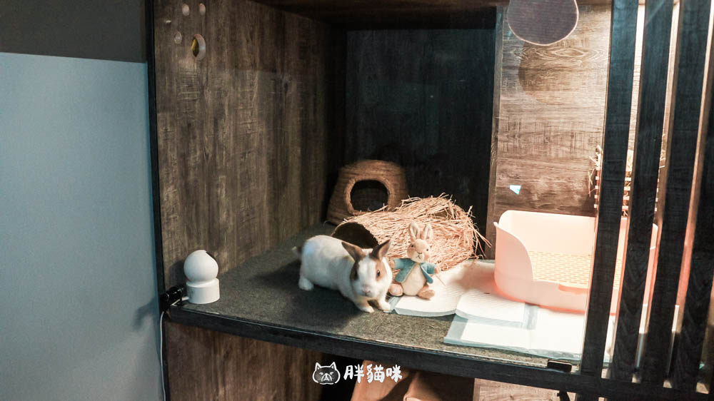 兔兔旅館推薦【MaAh喵品行旅】:兔寶爸媽看過來!最細心的兔兔旅館完整體驗五星級體驗全紀錄! - 第43張圖