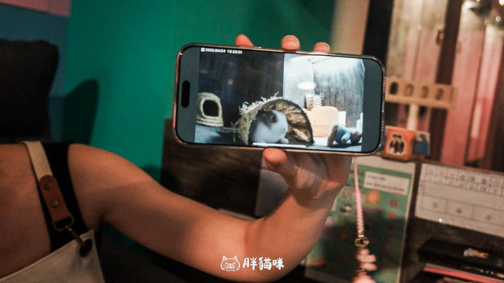 兔兔旅館推薦【MaAh喵品行旅】:兔寶爸媽看過來!最細心的兔兔旅館完整體驗五星級體驗全紀錄! - 第16張圖