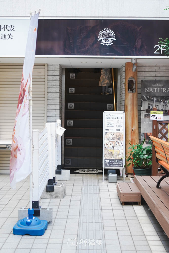 日本旅遊推薦:台灣體驗不到!大阪必訪貓頭鷹咖啡廳Chouette完整攻略,近距離互動萌到炸 - 第33張圖