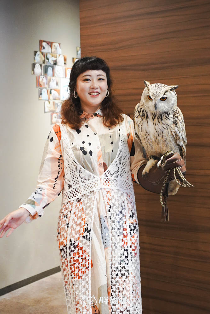 日本旅遊推薦:台灣體驗不到!大阪必訪貓頭鷹咖啡廳Chouette完整攻略,近距離互動萌到炸 - 第18張圖