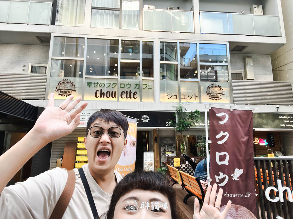 日本旅遊推薦:台灣體驗不到!大阪必訪貓頭鷹咖啡廳Chouette完整攻略,近距離互動萌到炸 - 第5張圖