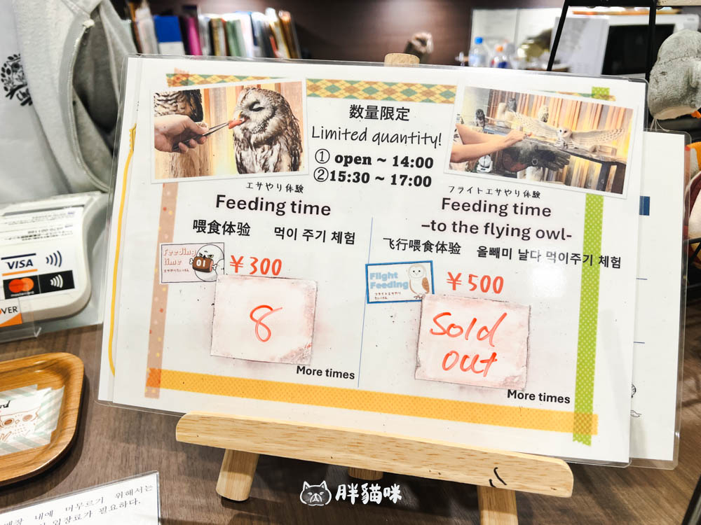 日本旅遊推薦:台灣體驗不到!大阪必訪貓頭鷹咖啡廳Chouette完整攻略,近距離互動萌到炸 - 第28張圖