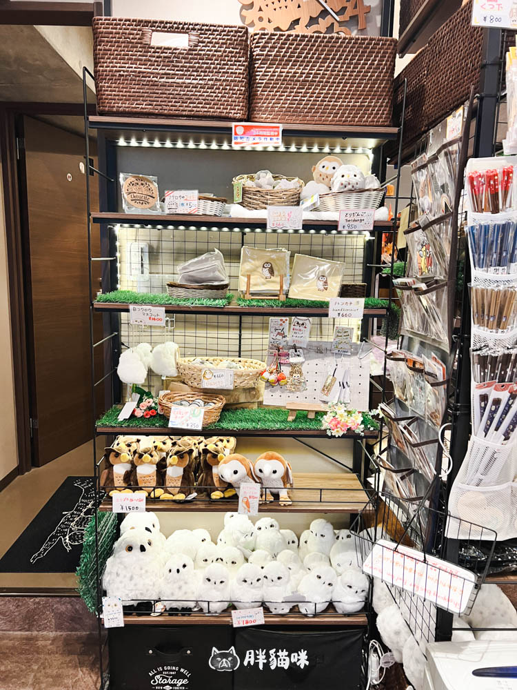 日本旅遊推薦:台灣體驗不到!大阪必訪貓頭鷹咖啡廳Chouette完整攻略,近距離互動萌到炸 - 第23張圖