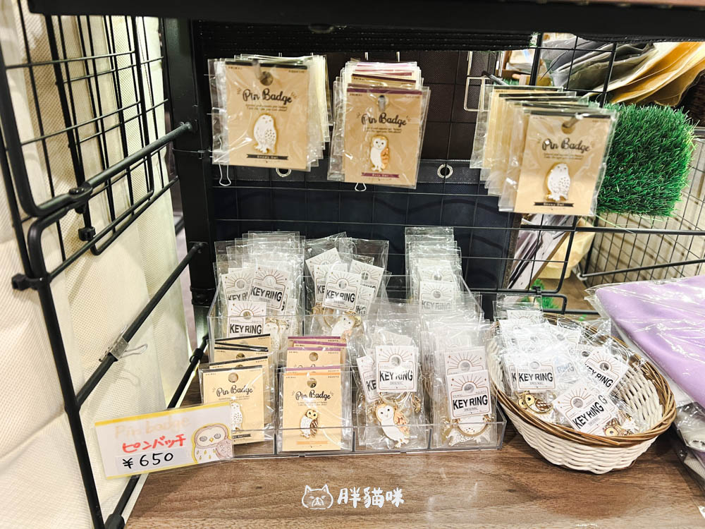 日本旅遊推薦:台灣體驗不到!大阪必訪貓頭鷹咖啡廳Chouette完整攻略,近距離互動萌到炸 - 第25張圖