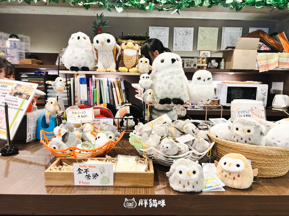 日本旅遊推薦:台灣體驗不到!大阪必訪貓頭鷹咖啡廳Chouette完整攻略,近距離互動萌到炸 - 第6張圖
