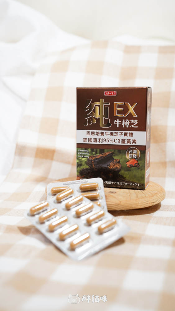 【原輔堂純の牛樟芝子實體薑黃素】開箱實測:3大亮點,一次搞定專注力、續航力! - 第4張圖