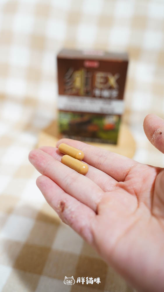 【原輔堂純の牛樟芝子實體薑黃素】開箱實測:3大亮點,一次搞定專注力、續航力! - 第7張圖
