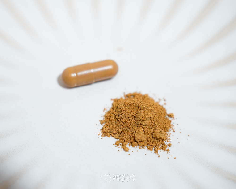【原輔堂純の牛樟芝子實體薑黃素】開箱實測:3大亮點,一次搞定專注力、續航力! - 第5張圖