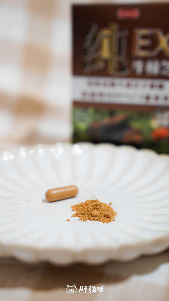 【原輔堂純の牛樟芝子實體薑黃素】開箱實測:3大亮點,一次搞定專注力、續航力! - 第6張圖