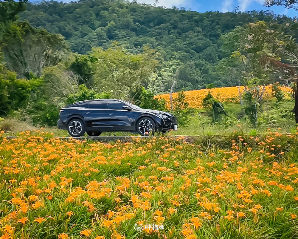 國旅自駕【Asap富豪租車】Peugeot 408 Allure 租車心得,花蓮5天4夜自駕深度旅遊體驗! - 第14張圖