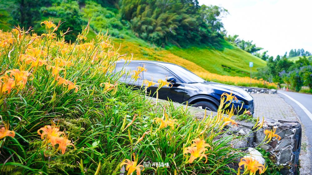 國旅自駕【Asap富豪租車】Peugeot 408 Allure 租車心得,花蓮5天4夜自駕深度旅遊體驗! - 第19張圖