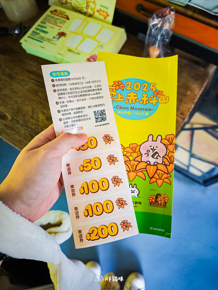 2025 花蓮赤科山金針花海