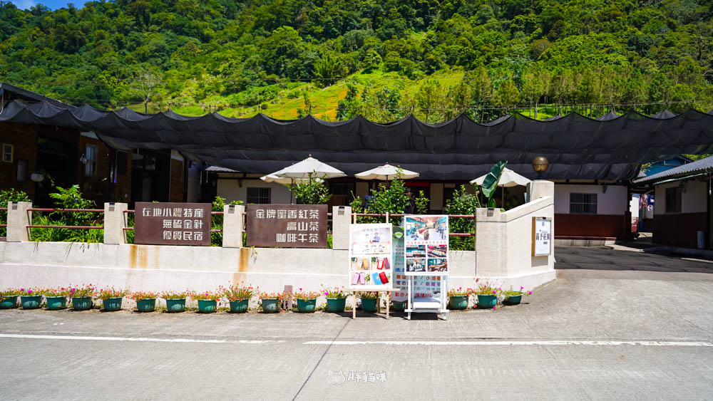 2025 花蓮赤科山金針花海