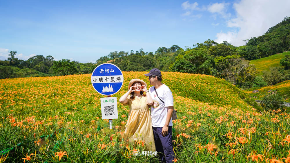 國旅自駕【Asap富豪租車】Peugeot 408 Allure 租車心得,花蓮5天4夜自駕深度旅遊體驗! - 第15張圖