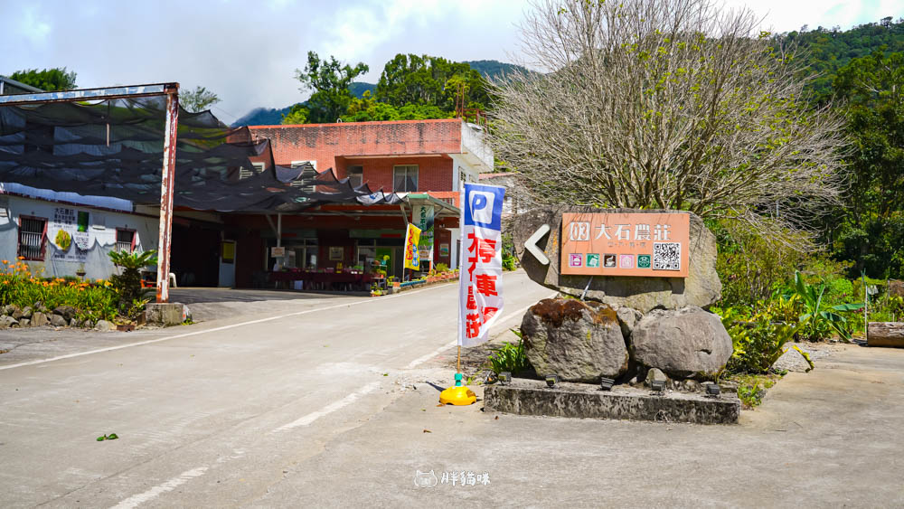 2025 花蓮赤科山金針花海