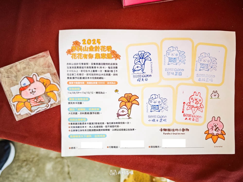 2025 花蓮赤科山金針花海