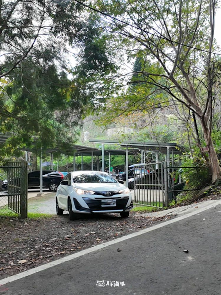 【國旅租車推薦】挑戰帶毛小孩到山上露營3天2夜:用 gogoout 租車平台租車,輕鬆載2隻兔子+露營裝備全攻略! - 第10張圖