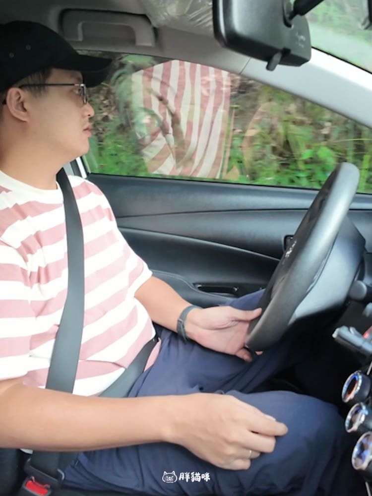 【國旅租車推薦】挑戰帶毛小孩到山上露營3天2夜:用 gogoout 租車平台租車,輕鬆載2隻兔子+露營裝備全攻略! - 第11張圖