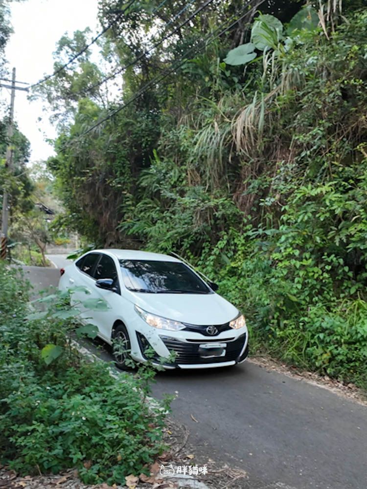 【國旅租車推薦】挑戰帶毛小孩到山上露營3天2夜:用 gogoout 租車平台租車,輕鬆載2隻兔子+露營裝備全攻略! - 第9張圖