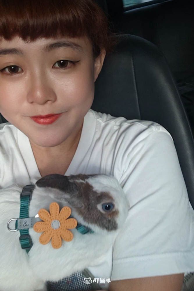 【國旅租車推薦】挑戰帶毛小孩到山上露營3天2夜:用 gogoout 租車平台租車,輕鬆載2隻兔子+露營裝備全攻略! - 第5張圖