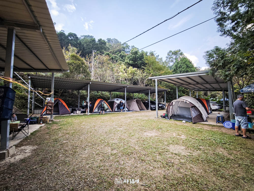 【國旅租車推薦】挑戰帶毛小孩到山上露營3天2夜:用 gogoout 租車平台租車,輕鬆載2隻兔子+露營裝備全攻略! - 第27張圖