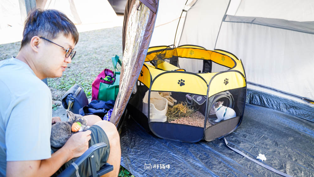 【國旅租車推薦】挑戰帶毛小孩到山上露營3天2夜:用 gogoout 租車平台租車,輕鬆載2隻兔子+露營裝備全攻略! - 第35張圖