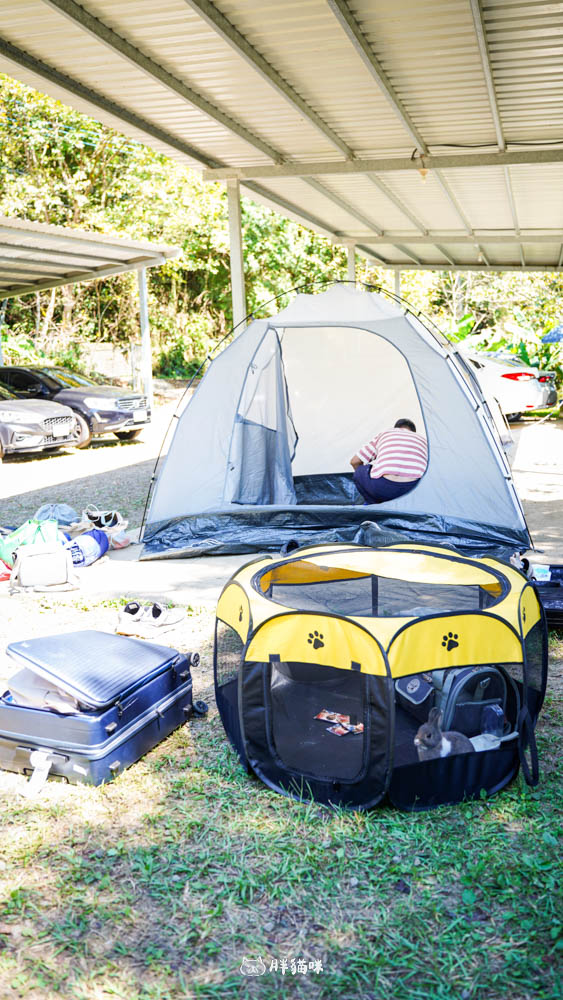 【國旅租車推薦】挑戰帶毛小孩到山上露營3天2夜:用 gogoout 租車平台租車,輕鬆載2隻兔子+露營裝備全攻略! - 第24張圖