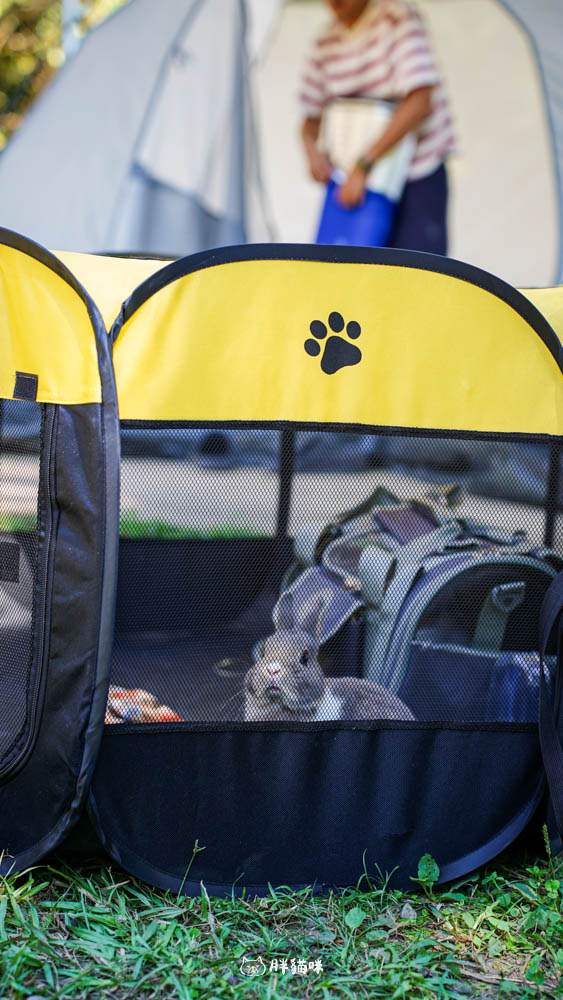 【國旅租車推薦】挑戰帶毛小孩到山上露營3天2夜:用 gogoout 租車平台租車,輕鬆載2隻兔子+露營裝備全攻略! - 第29張圖