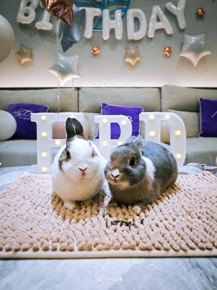 台南民宿包棟10人