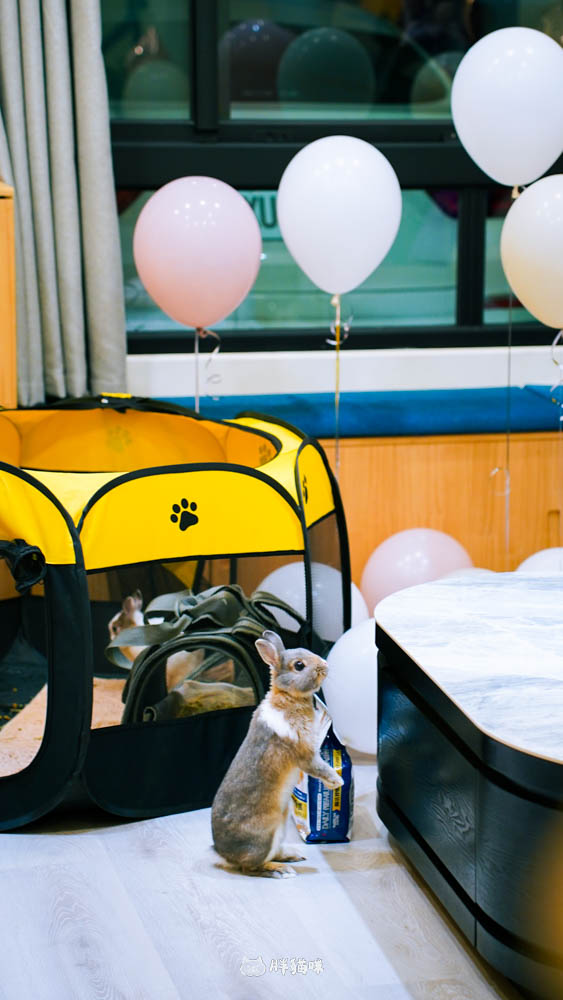 台南民宿包棟10人