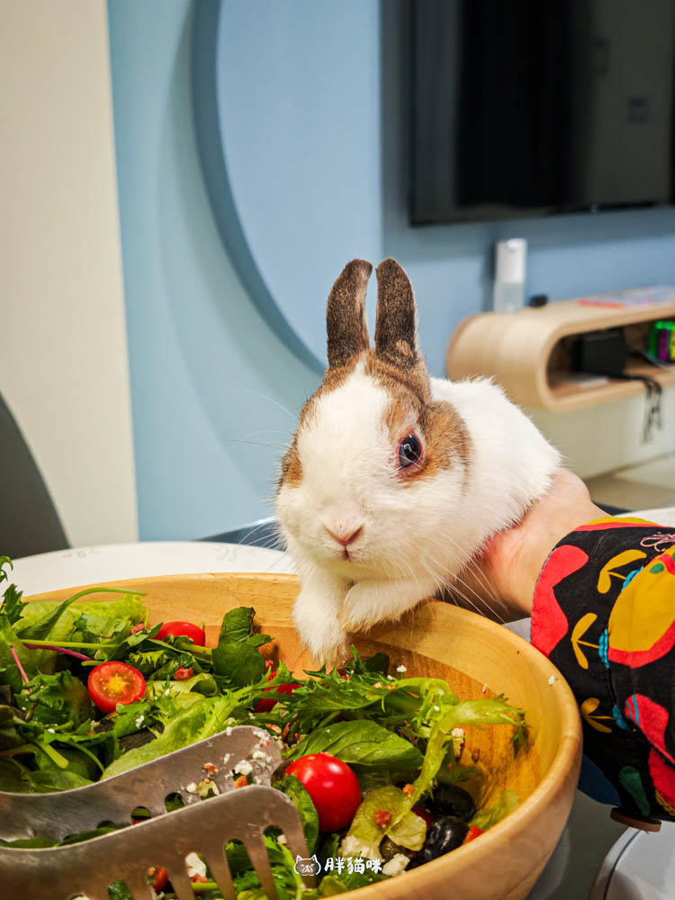 台南民宿包棟10人