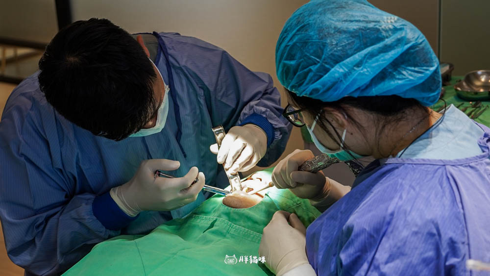 【林口植牙推薦】植牙需要花多久？超詳細人工植牙心得與5步驟流程，術後心得老實說！