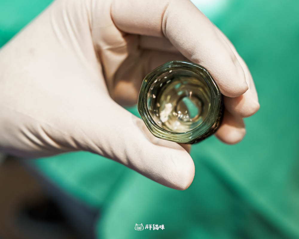 【林口植牙推薦】植牙需要花多久？超詳細人工植牙心得與5步驟流程，術後心得老實說！