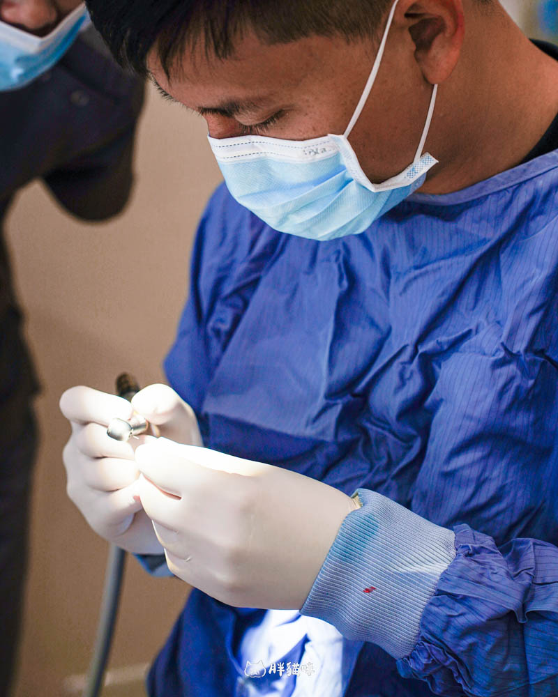 【林口植牙推薦】植牙需要花多久？超詳細人工植牙心得與5步驟流程，術後心得老實說！